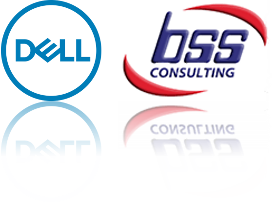 BSS Dell Partner