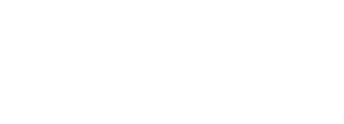 Business System Solutions