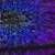 LockBit Hacked: Ransomware Gang’s Secrets Exposed