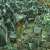 Don’t Trash Your Electronic Waste